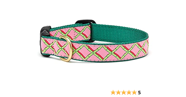 up country dog collars amazon