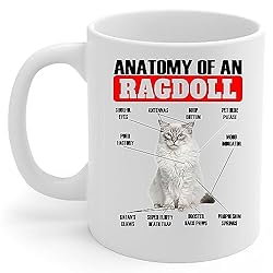 Lovesout Funny Lilac Point Ragdoll Cat Anatomy