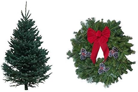 Hallmark Real Christmas Tree, Black Hills Spruce, 6 Foot To 7 Foot, No Stand and Fraser Fir Wreath