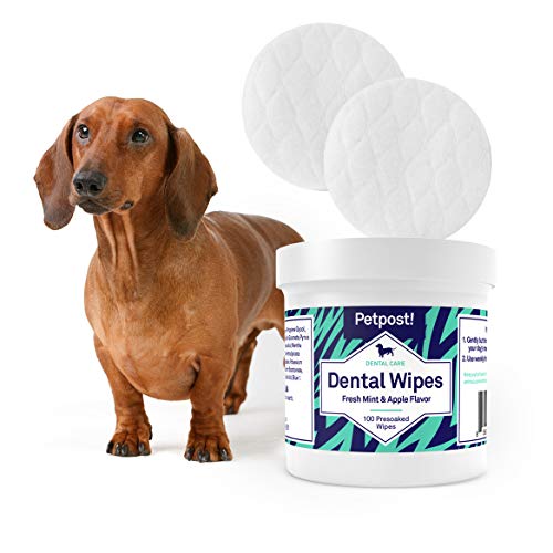 Petpost | Dental Wipes for Dogs - Bad Breath, Plaque and Tooth Decay Gone - 100 Presoaked Pads in Natural Tooth Cleaning Solution - Thumbnail 4
