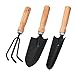 Garden Little Tool Sets - Wooden Handle Black Metal Gardening Tools Include: Trowels, Cultivator and Trans-Planter - Awesome for Family Use Growing Mini Succulent