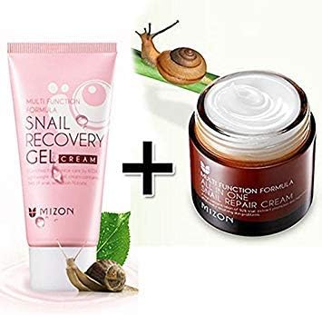 Zoomy Far: MIZON All in ONE Snail RIR Cream 75g + Snail Recovery Gel Cream 45ml Original KOR Coetics