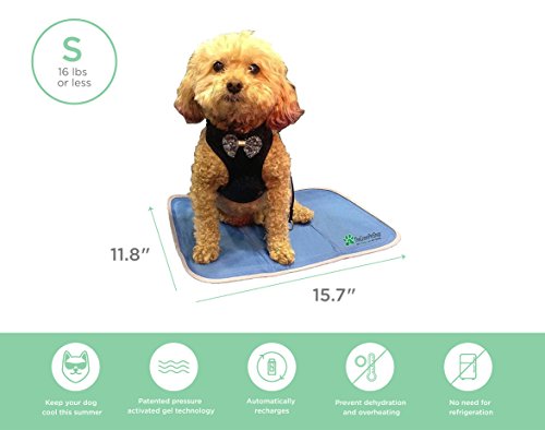 The Green Pet Shop Cooling Pet Mat/Pad - Patented Pressure-Activated Cool Gel Technology - Help Your Dog Stay Cool - Prevent Overheating and Dehydration - Ideal for Home and Travel