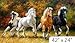 Wild & Free Panel 4 Horses Size 24X42 Northcott Cotton Fabric Digital