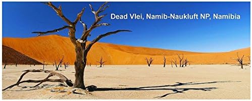 PANORAMA FRIDGE MAGNET - DEAD VLEI, NAMIBIA