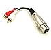 CERRXIAN 6 Inch XLR Y Splitter Patch Cable, 1 XLR Female to 2 RCA Male Adapter Cable 6inch (XLRFM-2RCAM)