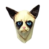 Creepy Cat Mask - Funny Animal Masks - Off the Wall Toys
