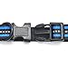 Mile High Life Night Reflective Double Bands Nylon Dog Collar