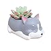 Cuteforyou Cute Animal Shaped Cartoon Home Decoration Succulent Vase Flower Pots (Husky)
