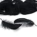 Coceca 300pcs Black Feathers for Various Birthday Party Wedding Festival Party Decorations