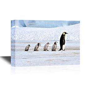 Canvas Wall Art - Five Penguins - Gallery Wrap Modern Home Art | Ready to Hang - 12x18 inches