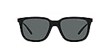 ARNETTE Sunglasses AN 4306 275381 Plaka Black Dark