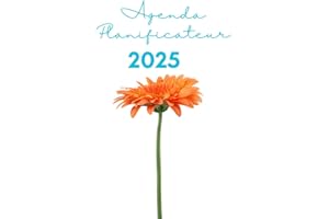 Agenda Planificateur annuel