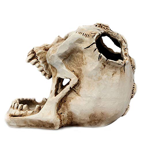 Skull Office Stationery Holder - Image 6