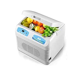 Jia He Refrigerador del Coche 12L Refrigerador del Coche Caja ...