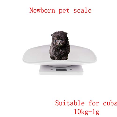 1 Lyperkin+Digital+Plastic+Electronic+Accurately