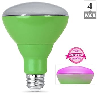 Amazon.com : Feit Electric 65W Equivalent BR30 Full ...
