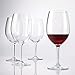 Polycarbonate Cabernet, Wine Glasses Set of 4