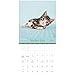 2018 Rachael Hale Cats Wall Calendar (Mead)