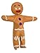 Shrek Gingerbread Man Costume