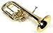 HAICHENWEI Intermediate Monel Pistons Alto Horn w/Case & Mouthpiece-Gold Lacquer Finish