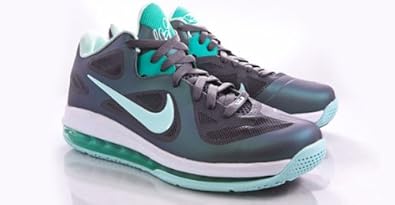 lebron 9s low