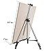 66 Inch Folding Aluminum Easel - Lightweight Tabletop Art Standing Easels for Adults&Kids Painting on Canvas,Board - Telescoping Floor Easel by Bianyo