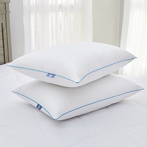 Serta Perfect Sleeper Fresh & Cool Pillow 2 Pack (Standard/Queen)