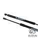 MGPRO 2pcs Rear Trunk Lid Gas Lift Supports Strut Shocks For BMW 2006-2011 E90 323i 325i 325xi 328i 328xi 328i xDrive 330i 330xi 335d 335i 335i xDrive 335xi M3 4-Door Sedan