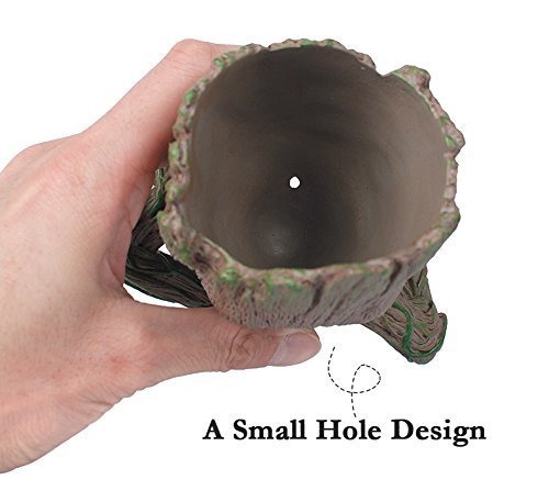 3 Flowerpot+Treeman+Heart+shaped+Succulent+Planter