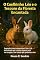 Livro O Coelhinho Léo e o Tesouro da Floresta Encantada (As Aventuras do Coelhinho Léo.)