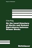 On the Local Structure of Morita and Rickard Equivalences Between Brauer Blocks, Puig, Luis, 3764361565