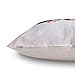 Phantoscope New Merry and Presents Series Throw Pillow Cushion Cover (County)