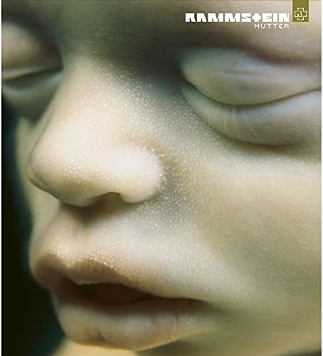 Rammstein - Reise Reise - Amazon.com Music