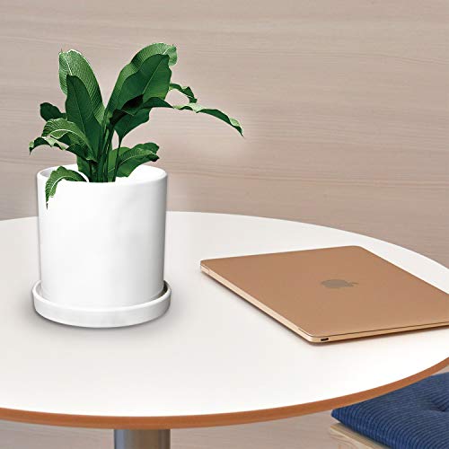 image for Brajttt Flower Pots,Small to Large Sized Round Planter Pots,Ceramic Pl