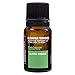Elevation Terpenes 100% Alpha-Pinene Food Grade Terpene 10ML Produced in the USA