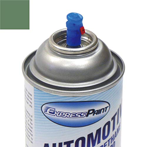 ExpressPaint Aerosol Automotive Touchup Paint for Ford Focus