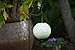 Allsop Home and Garden Soji Stella Pearl Globe LED Outdoor Solar Lantern, Handmade with Weather-Resistant UV Rated Tyvek fabric, Stainless Steel Hardware, Auto sensor on/off, for Patio, Deck, Garden, Color (Pearl)