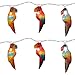 Brite Star 10 Count Parrot Light Set