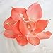 CTKcom Calla Lily Artificial Flower(20 Pack)- PVC Real Touch Flower Calla Lily Bridal Wedding Bouquet Head Lataex Real Touch Flower Bouquets Wedding Party Home Garden Restaurant Decoration(Coral Pink)