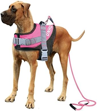 LOSY PET Heavy Duty No Pull Dog Harness, Free Leash Included, Strong Enough, Adjustable Comfortable and Breathable, with Handle for Large Breeds Pink L