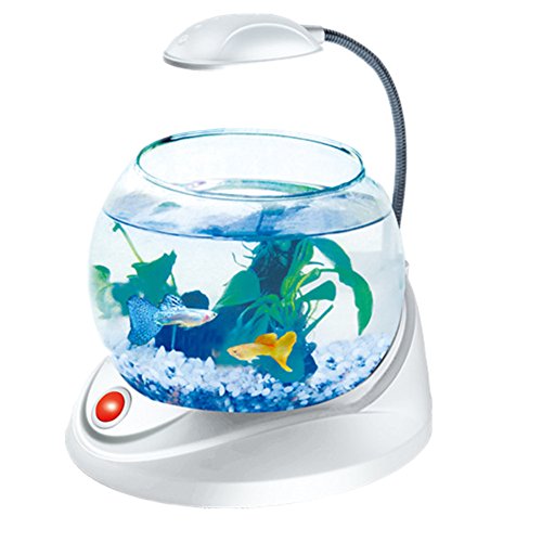 Brostown 2l globe usb desktop aquarium fish tank kit ¡…