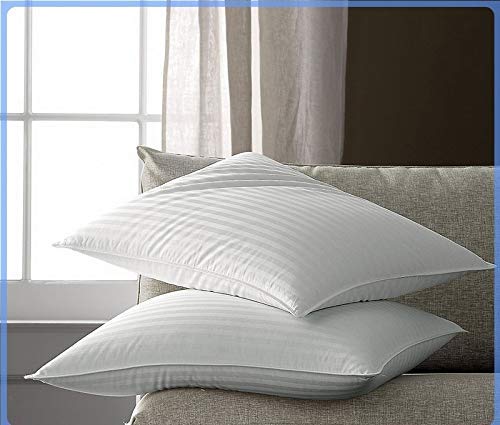 Ahilmart Classic 5 Star Hotel 2 Pillows Size 17x27 Inch White