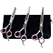 Petroad Pet Grooming Scissors Set for Dogs and Cats, Stainless Steel Dog Scissors Grooming Shears Set with a Comb and a Black Pouch