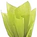 Flexicore Packaging Lime Green Bulk Tissue Paper 15 Inch x 20 Inch - 100 Sheets primary