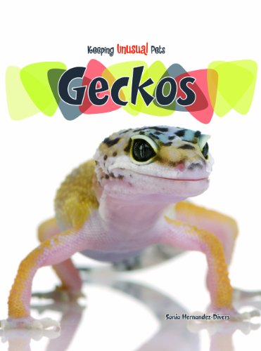 Geckos (Keeping Unusual Pets)