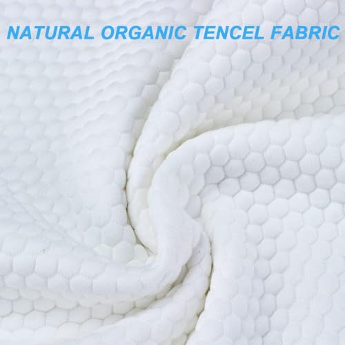 Talatex Natural Dunlop Latex Pillow, Medium Firm, Helps Relieve Pressure, Neck and Shoulder Pain, No Memory Foam Chemicals, Perfect Sleep Gift for Side & Back Sleepers (Standard(60×40×13) cm)