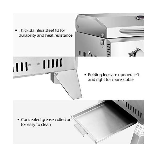 Giantex Portable Gas Grill with 2 Burner, Max. 20,000 BTU total