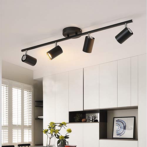 GALYGG LED Track Lighting Heads Black Spotlight, 3 - Wire Light Fixtures, 30W 3000LM 3000K Warm White, for Wall Art Exhibition