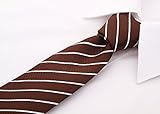 Scott Allan Mens Striped Tie